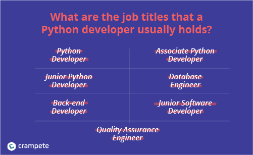 python developer job titles